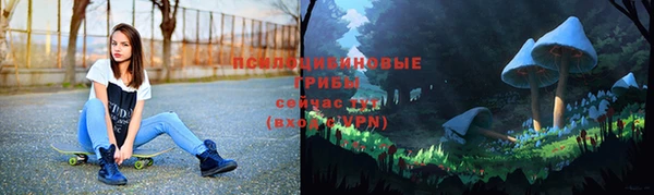 прущие крисы Баксан