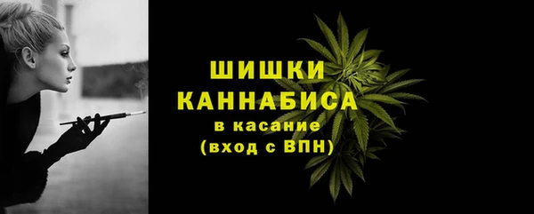 гашик Аркадак
